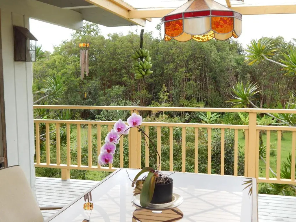 Fern Forest Getaway