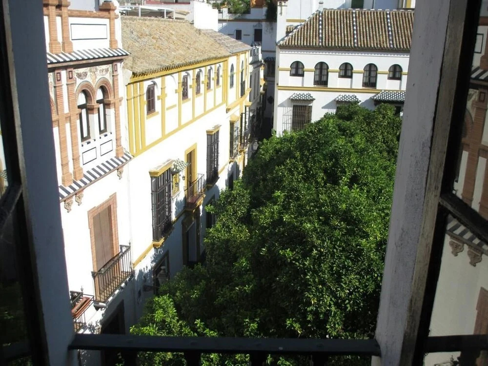 Deluxe Apartment Doña Elvira