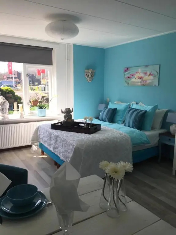 Basement Studio with garden view