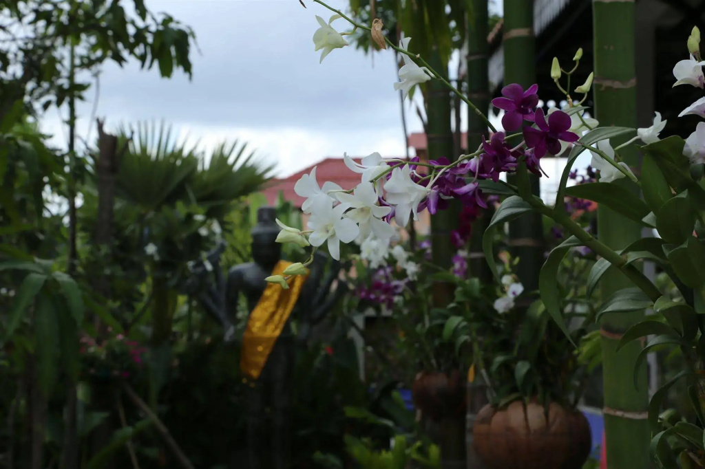 Khmer Mansion Boutique Hotel - Général