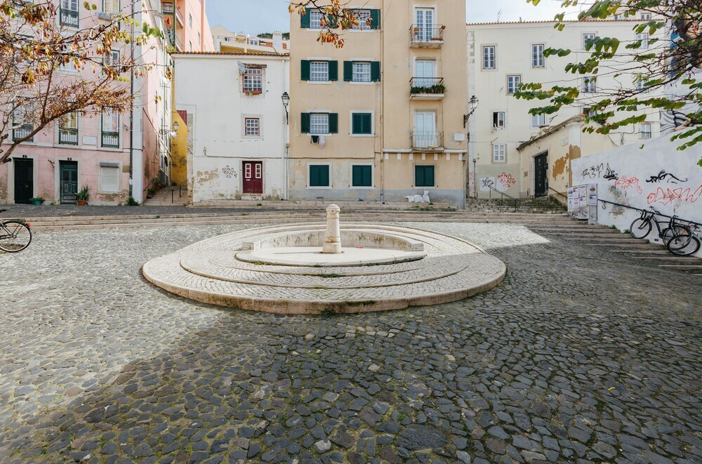 Image 15
