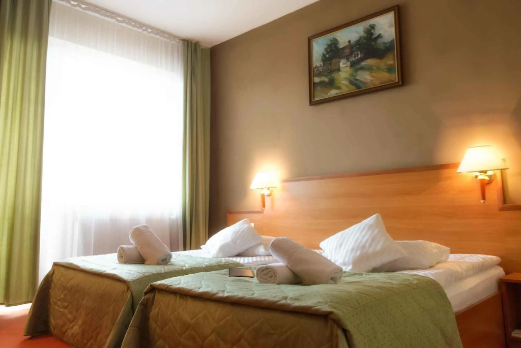 Standard Double room (twin beds)