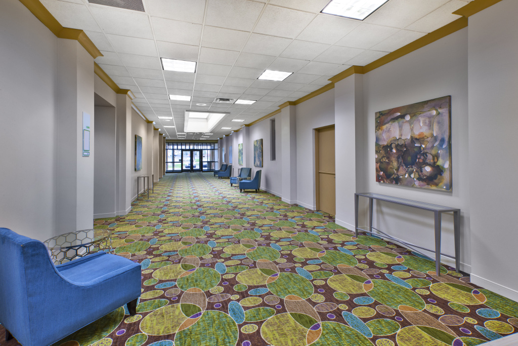 Holiday Inn & Suites Bolingbrook by IHG - Général