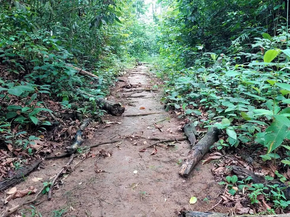 Perla verde hostel y tours en la zona - фото 15
