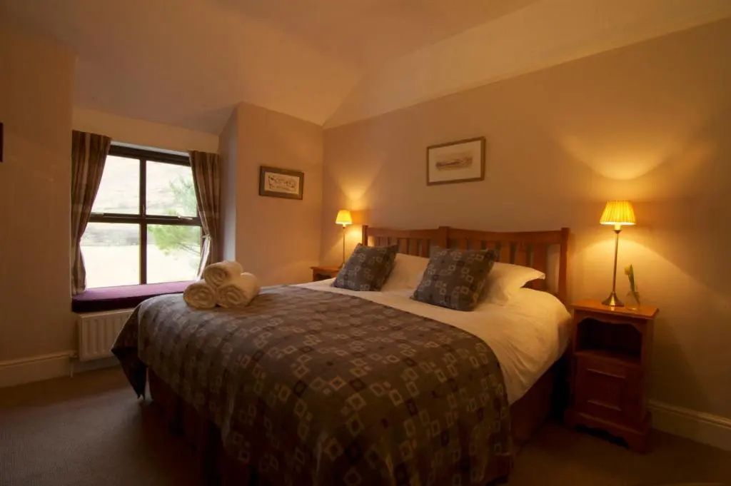 Dolffanog Fawr - Chambres