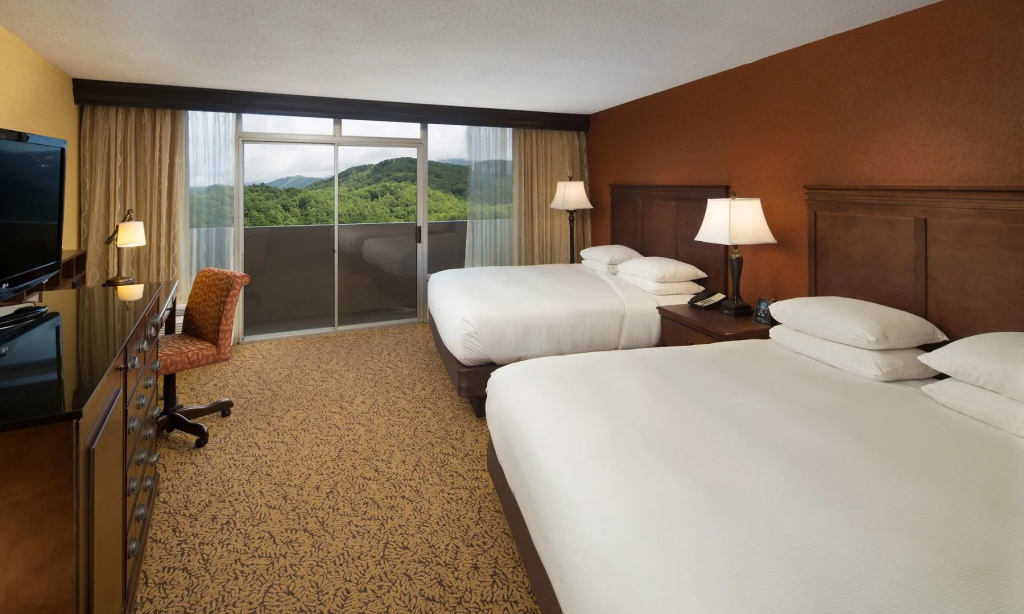 The Park Vista - a DoubleTree by Hilton Hotel - Gatlinburg - Général