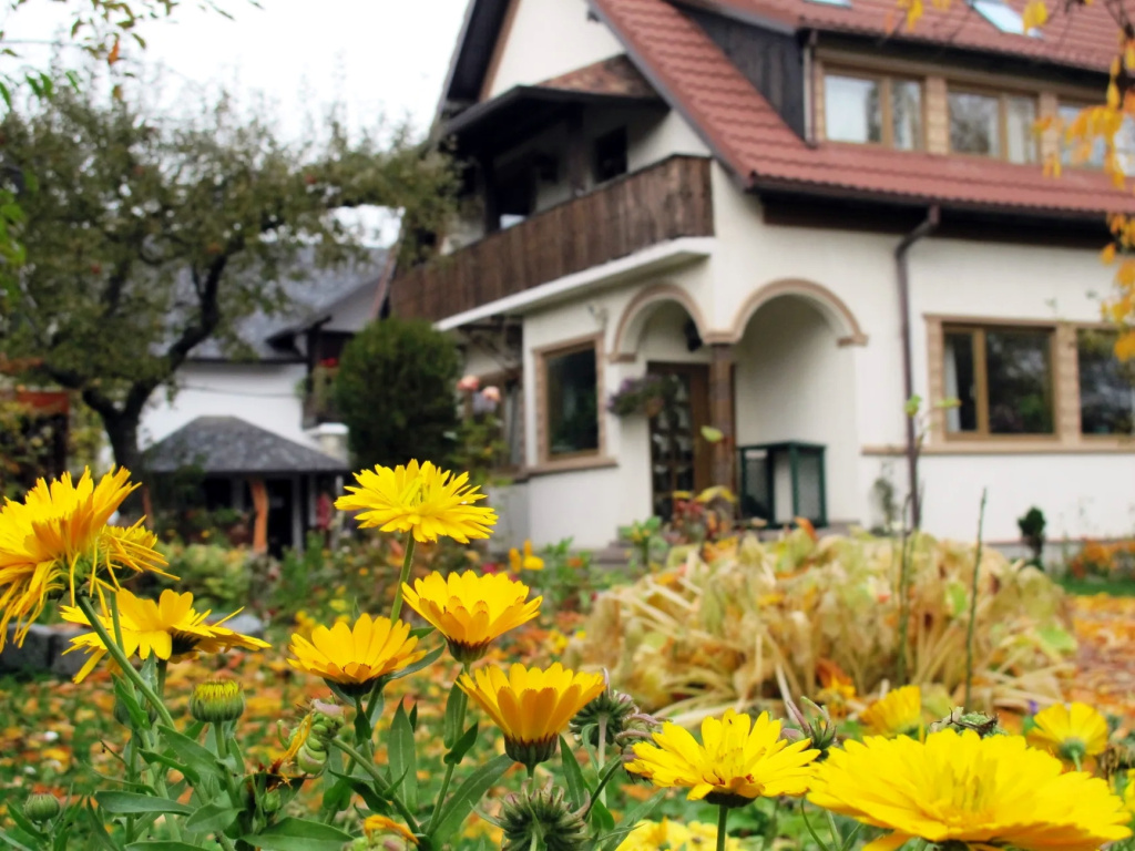 Pensiunea Hilde s Residence
