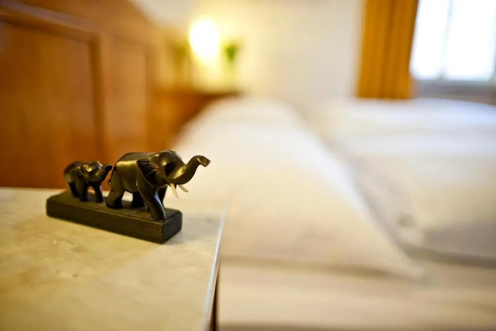 Elefant - Chambres