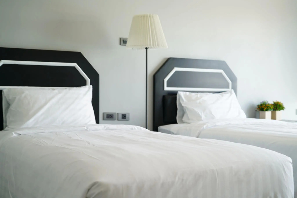 Standard Double room (twin beds)