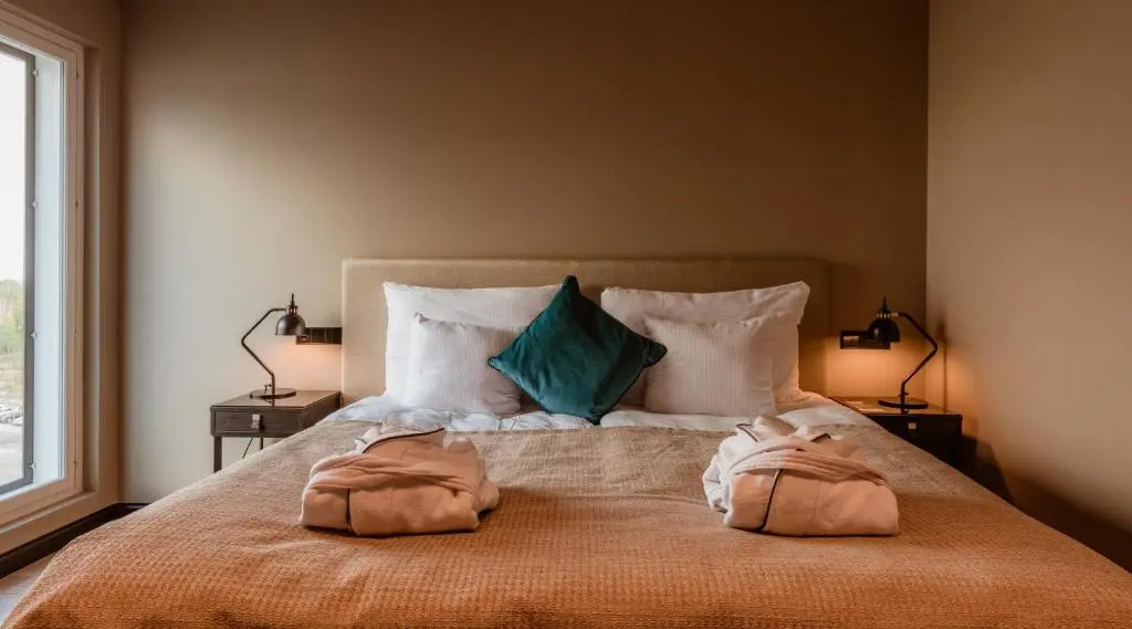 Clarion Hotel Aviapolis - Chambres