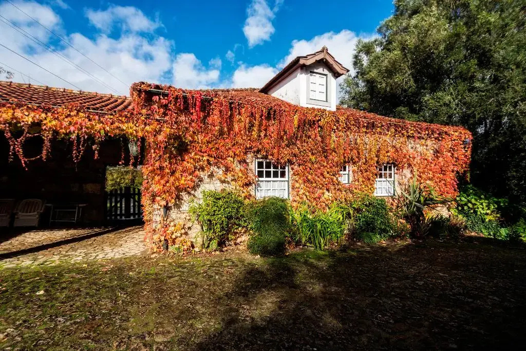 Quinta da Roseira