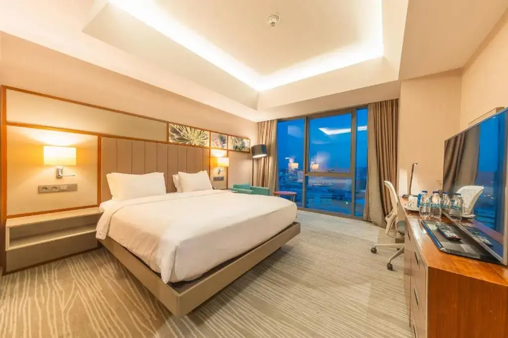 Hilton Garden Inn Istanbul Airport - Chambres