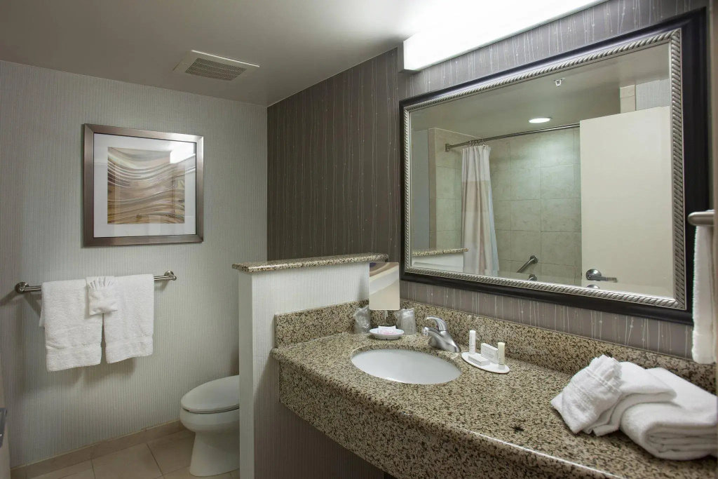 1 Bedroom Double Suite with balcony and with courtyard view full double bed