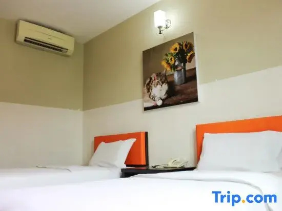 Deluxe Double room (twin beds)