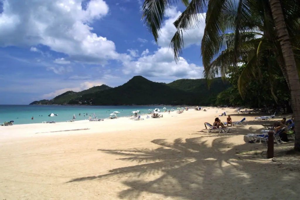 Beach & Waterfront