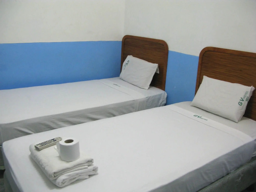 Standard Double room (twin beds)