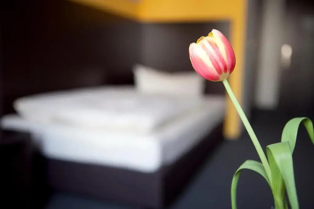 GS Hotel Geiger - Chambres
