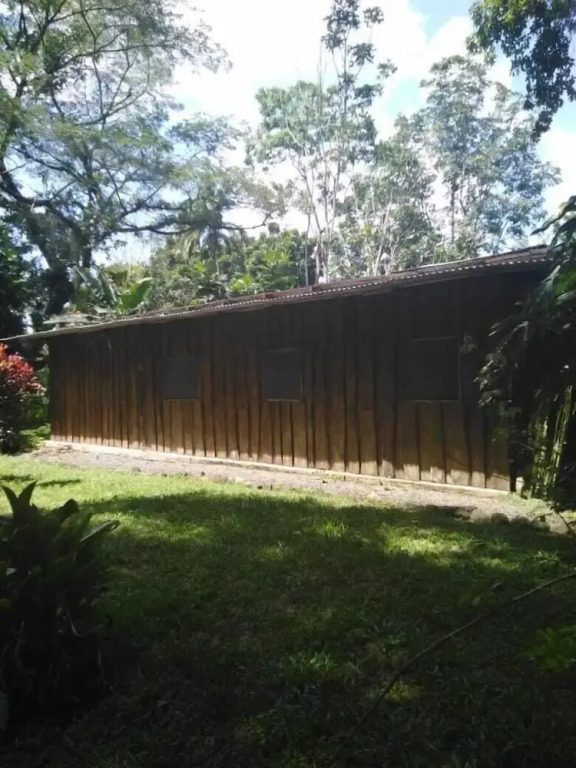 Finca Guarumo - Hostel