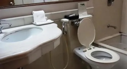 Regent Andheri Hotel - Général