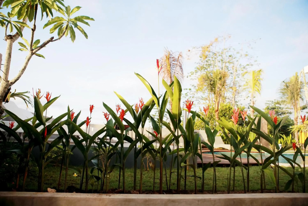 Vanilla Suite Jimbaran