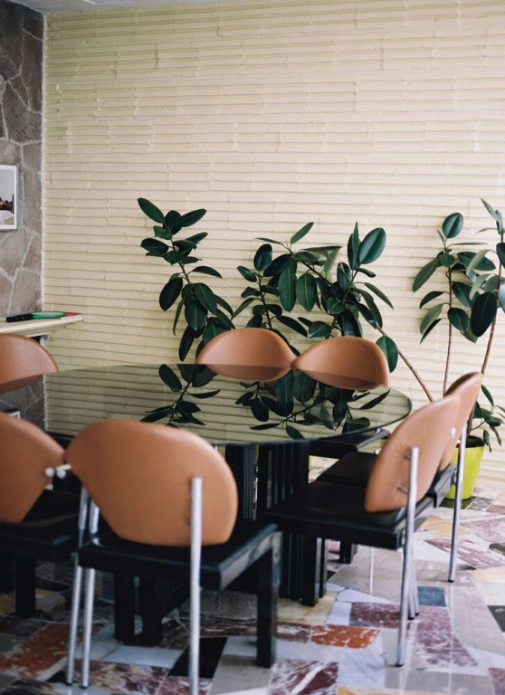 Casapani by null