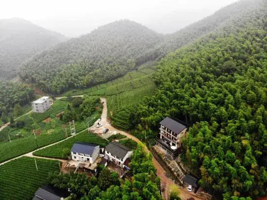 Kiwi Mountain Villa