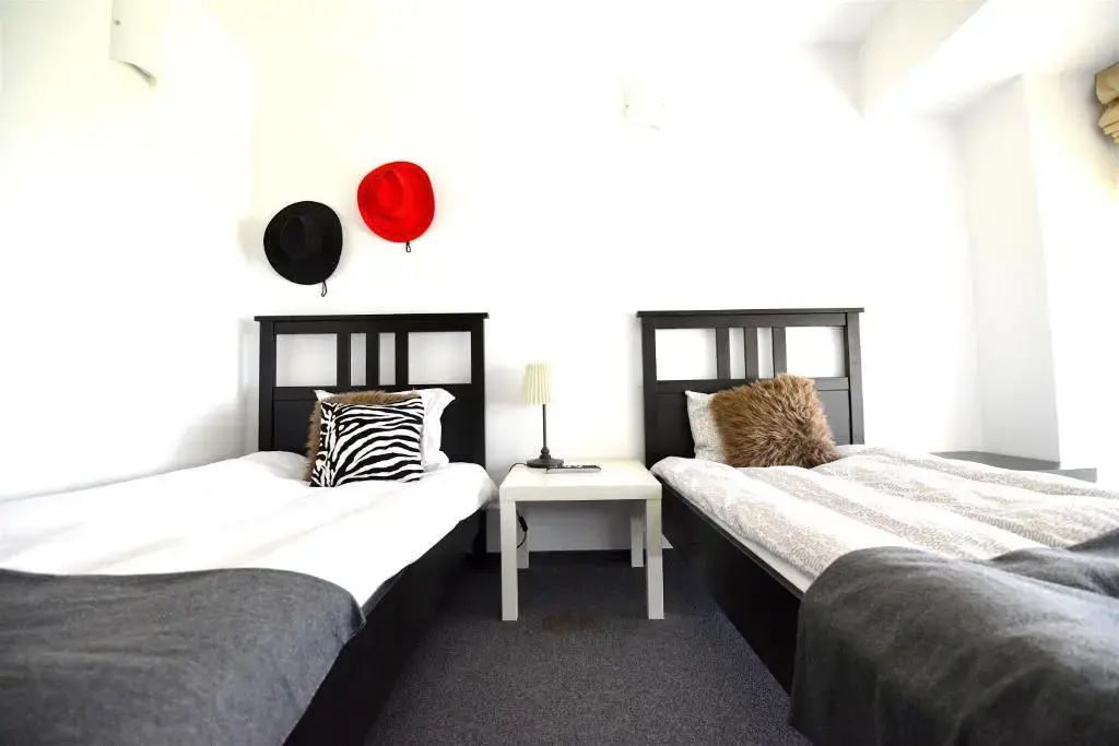 Standard Double room (twin beds)