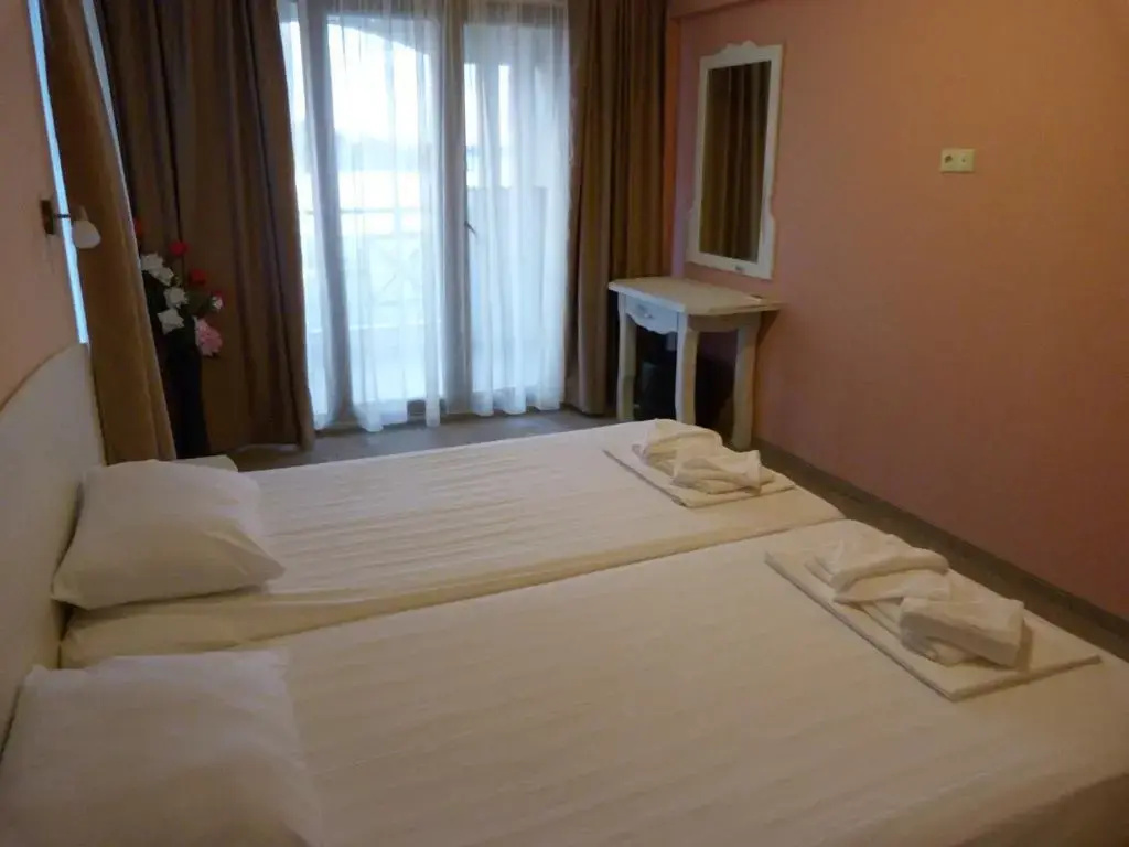 Standard Double room with balcony and with mountain view (full double bed)