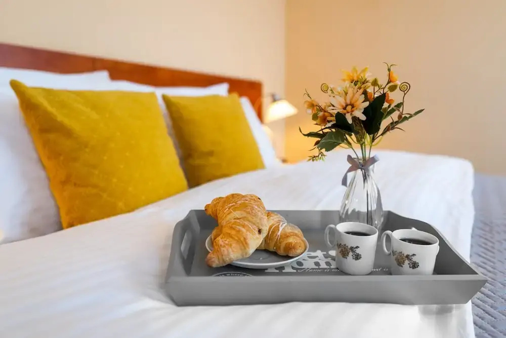 Hotel U Vlasskeho Dvora - Général
