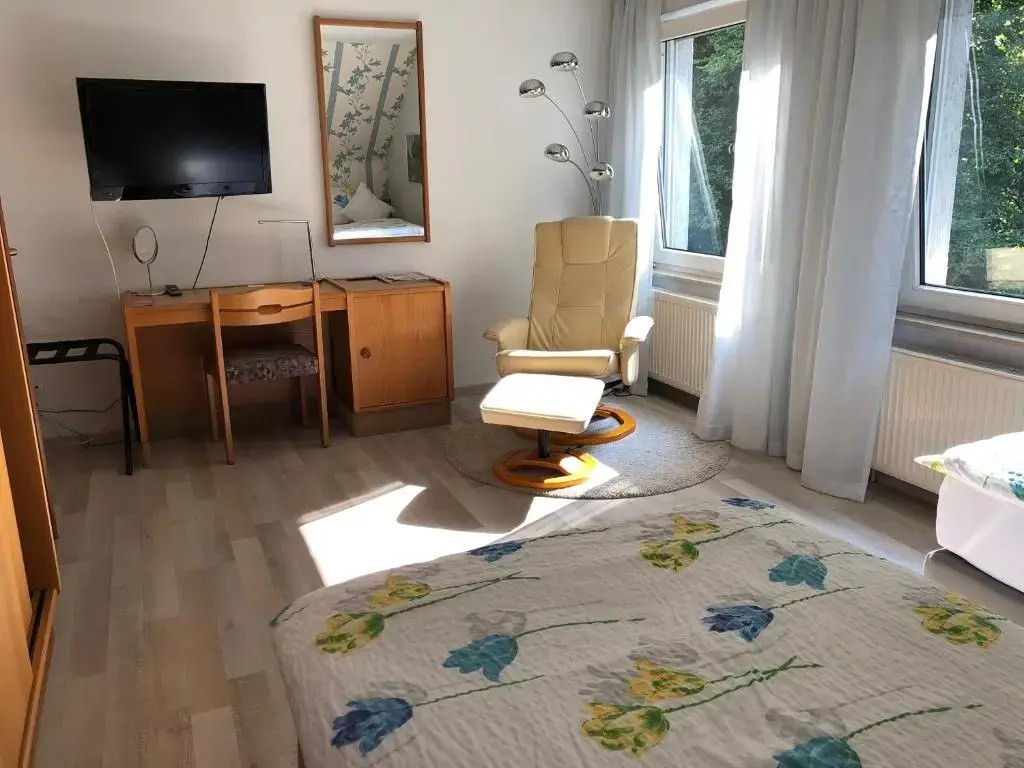 Standard Double room (full double bed)