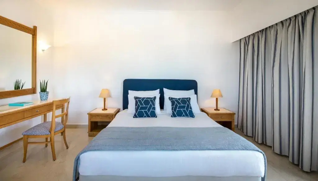 Deluxe Double room (full double bed)
