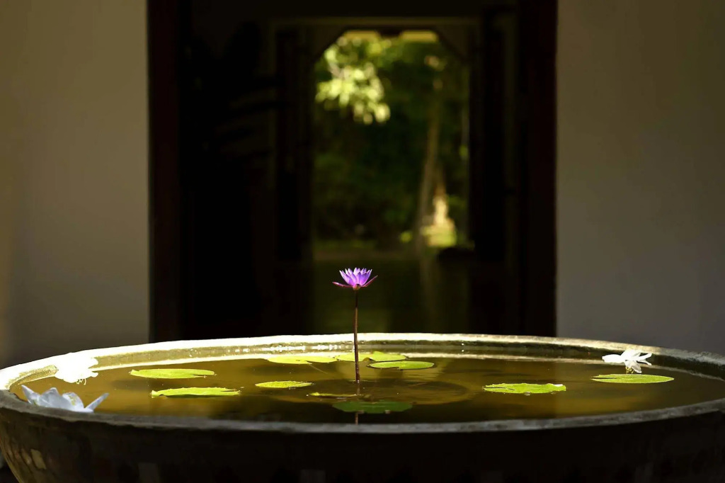 Coconut Grove - фото 10