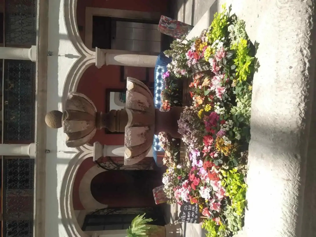 Hotel Misión Catedral Morelia - Général
