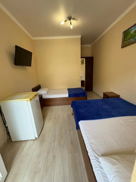 Standard Triple room with balcony and with garden view