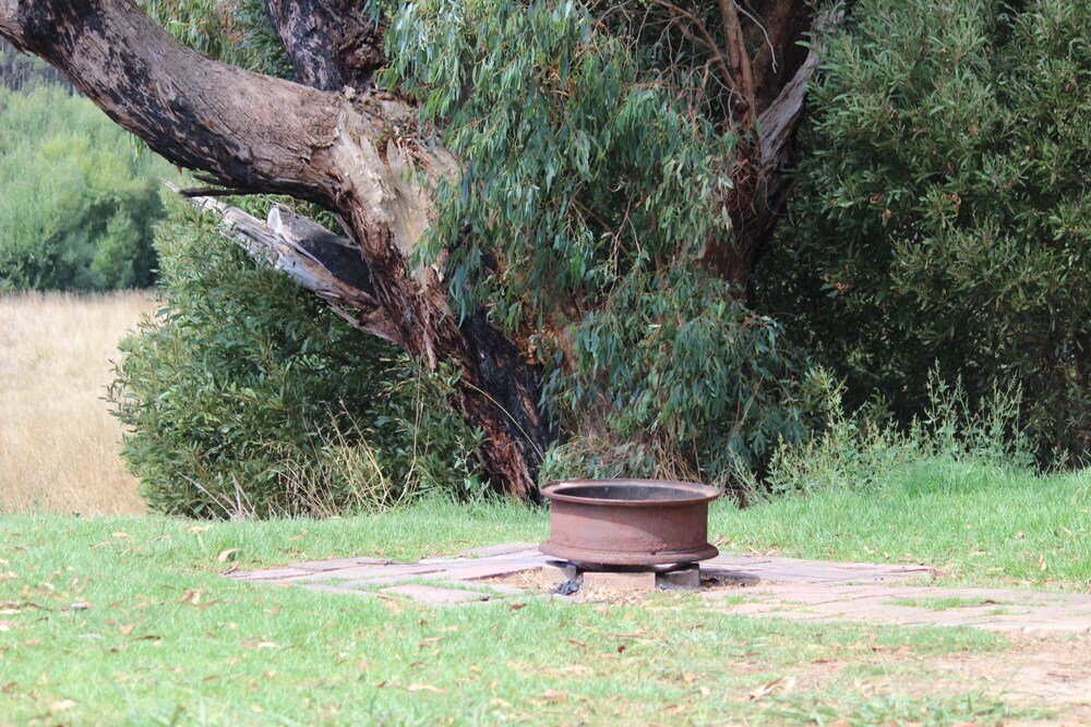 Image 32