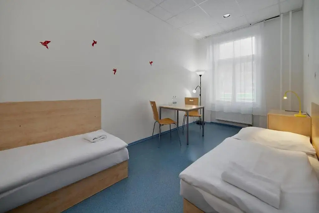 Standard Double room (twin beds)