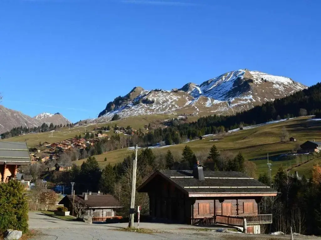 Appartement Le Grand-Bornand, 1 pièce, 4 personnes - FR-1-241-176