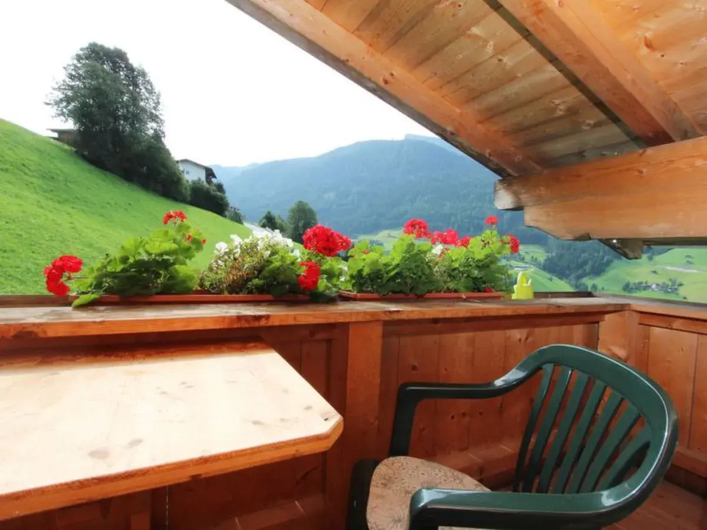 Apartment Alpin Zell am Ziller 15591