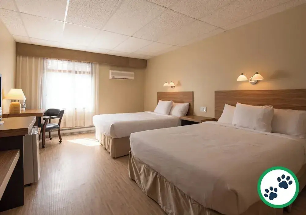 Comfort Quadruple room