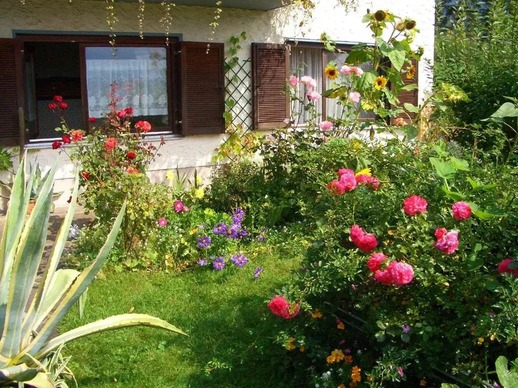 Pension Krüger - Chambres