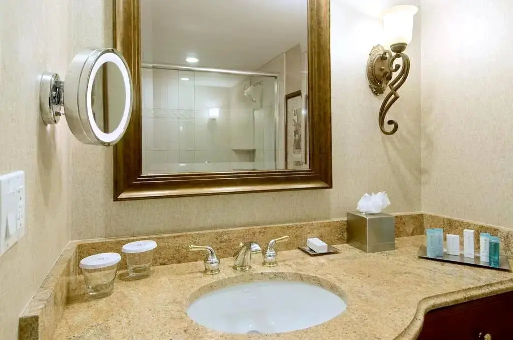 DoubleTree by Hilton Lisle Naperville - Chambres