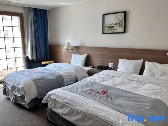 Deluxe Double room (twin beds)