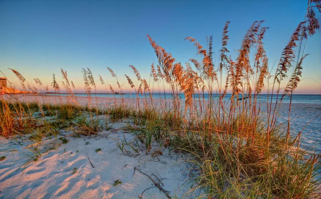 Beach & Waterfront