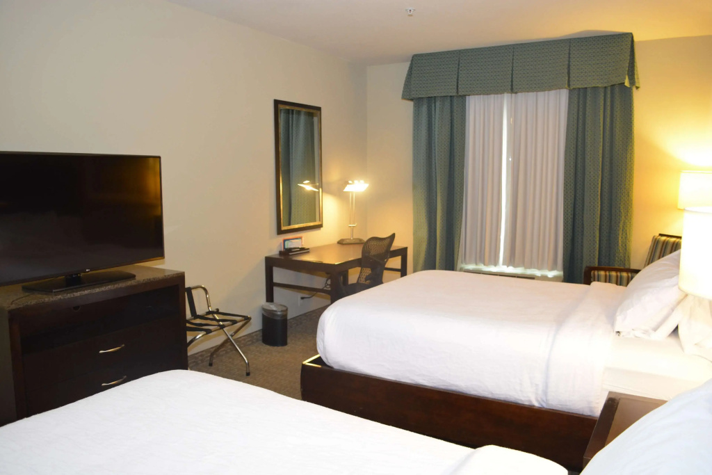 Hilton Garden Inn Houston-Pearland - Général