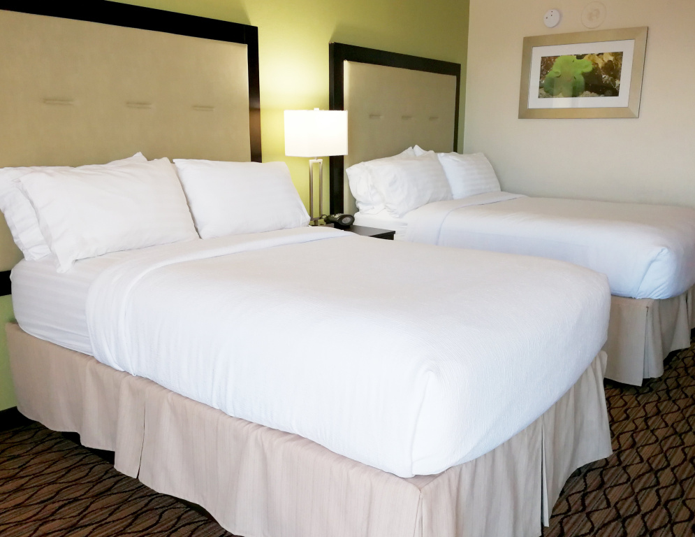 Holiday Inn Corpus Christi Downtown Marina by IHG - Général
