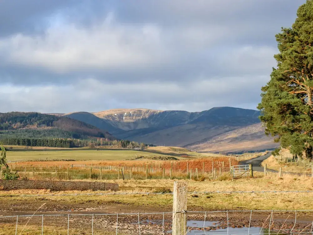 White Hillocks Cottage