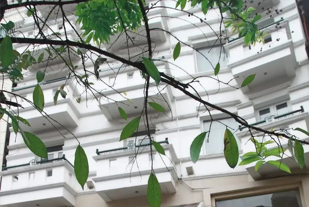 Medallion Hanoi Hotel - Général