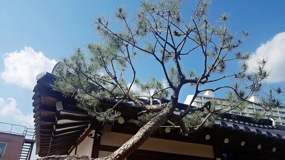 Misori Guesthouse