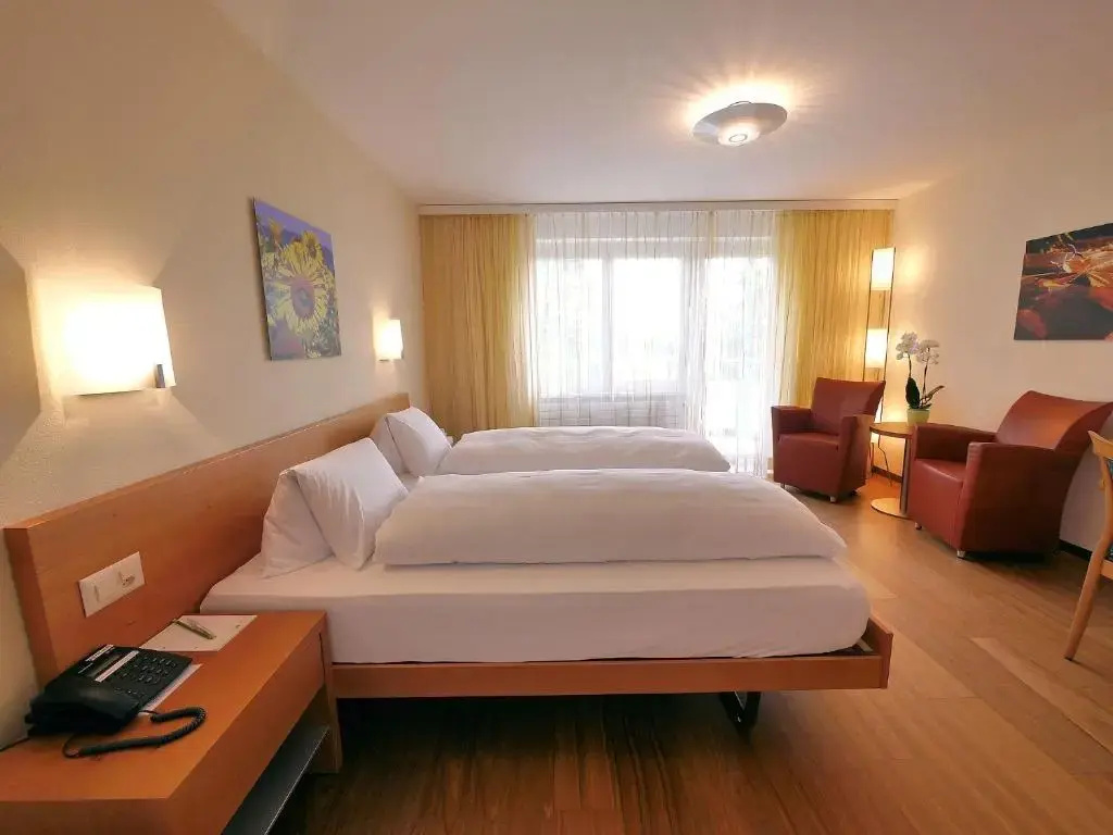 Standard Double room with lake view (full double bed)