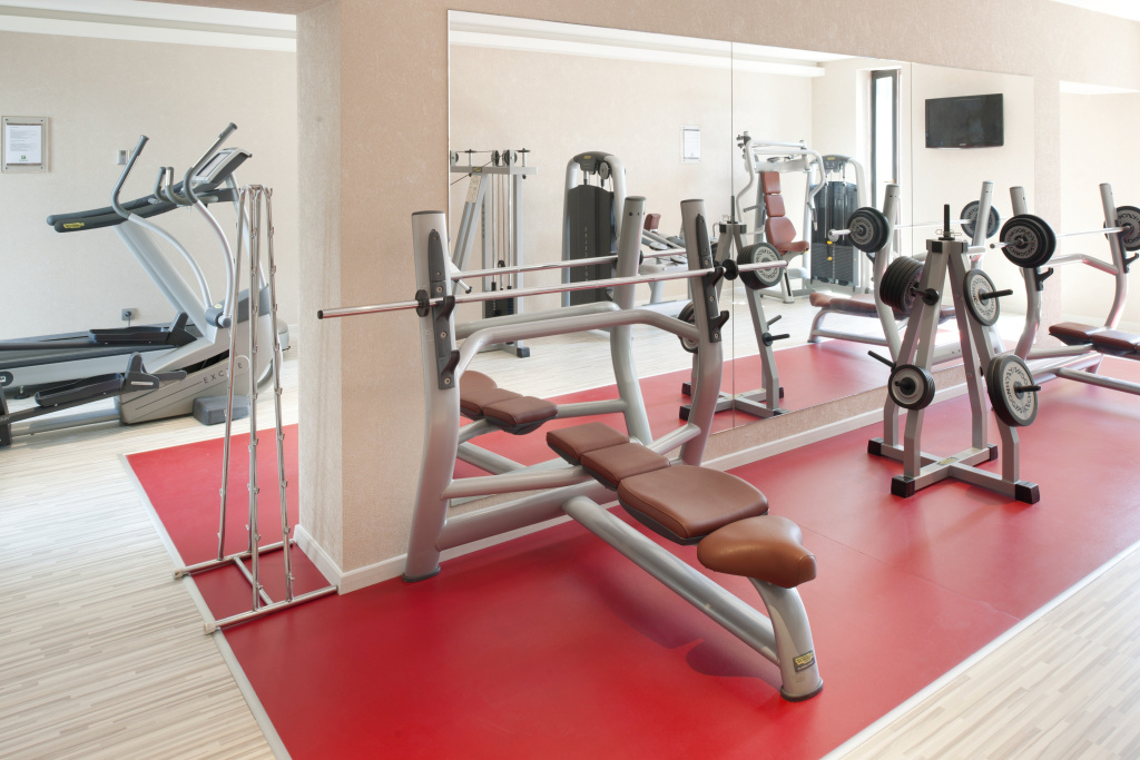 Holiday Inn Trnava by IHG - Général